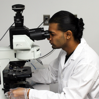 Phd thesis neuroscience