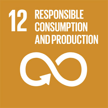 SDG 12 responsible consumption and production icon