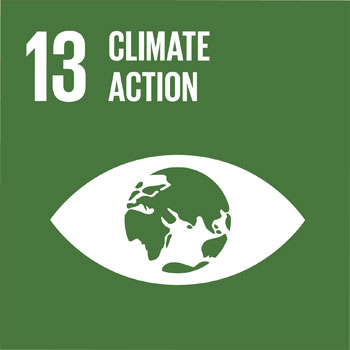 SDG 13 Climate Action icon