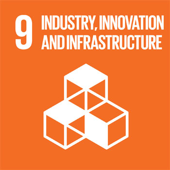 SDG 9: Industry, Innovation and Infrastructure icon