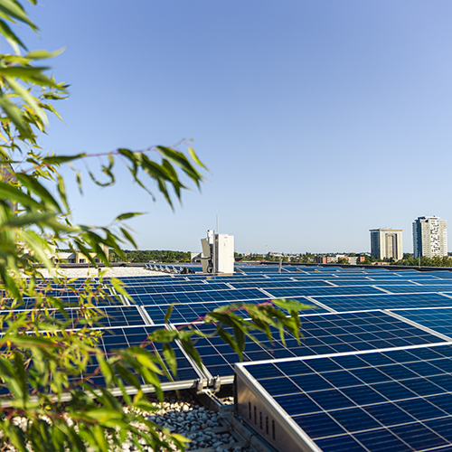 solar panels