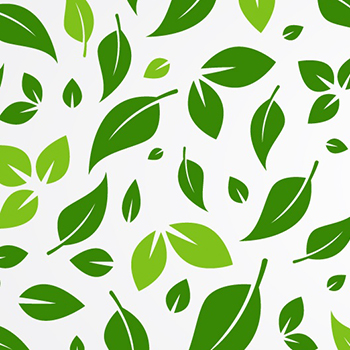 green leaf graphic
