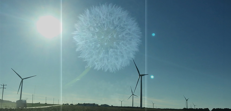 A field, far and wide with several wind turbines towering into the silent sky. The bright warm sun is next to a soft seed sphere of a dandelion. The sphere is like a billowing cloud in the sky that drawings attention. The exhibit has sound