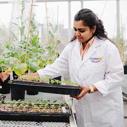 Showcasing inspired research in Laurier's 2024/25 Annual Research Report.