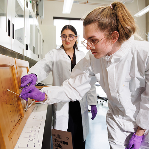 A student participant swabs a sample in Laurier Brantford's forensics lab