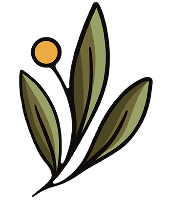 Illustration of leaf