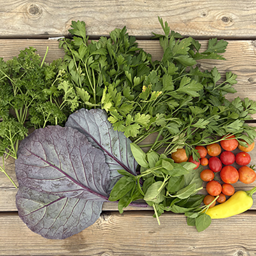 An array of herbs and garden vegetables on a wooden table