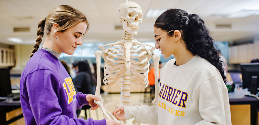 students look at skeleton