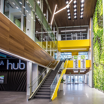 Building a sustainable workplace at green office building.