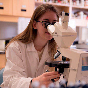 A biology student looks through a microscope