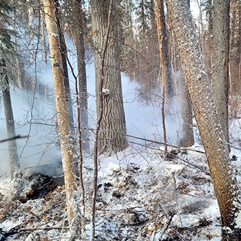 Smoke blowing out of snow-covered forest