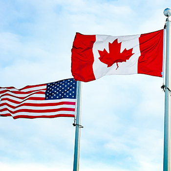 Trade, AI and uncertainty: Economic Outlook 2026