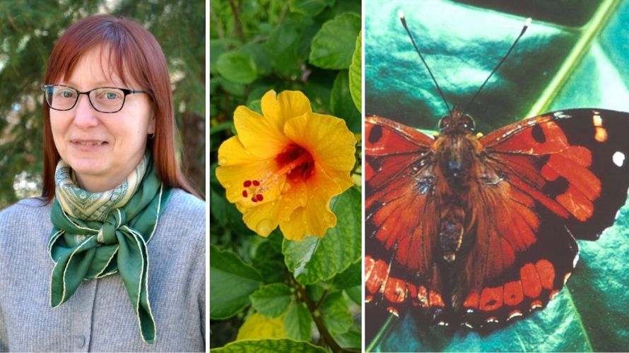 Headshot of Heather Hager and images of yellow hibiscus and Kamehameha butterfly