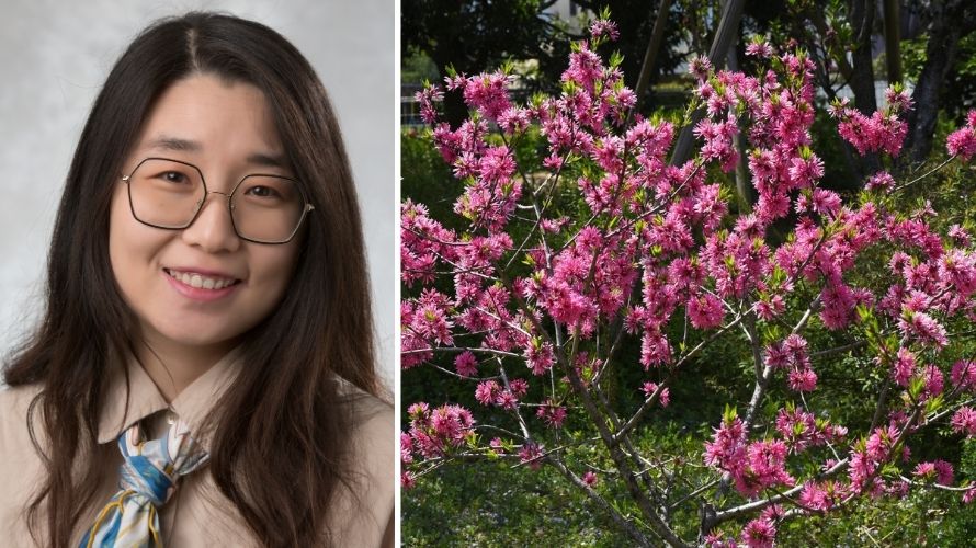 Headshot of Xuezhen Ge and image of Rhododendron
