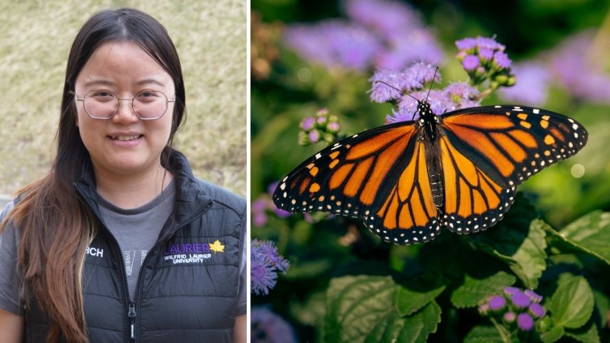 Headshot of Ya Zou and image of monarch butterfly