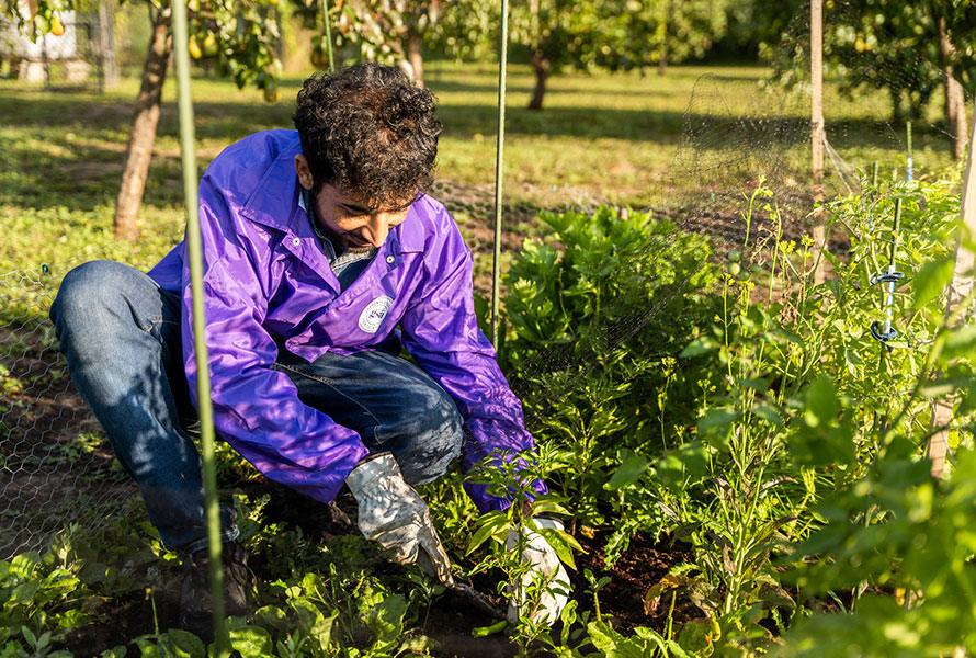 Laurier community member gardening