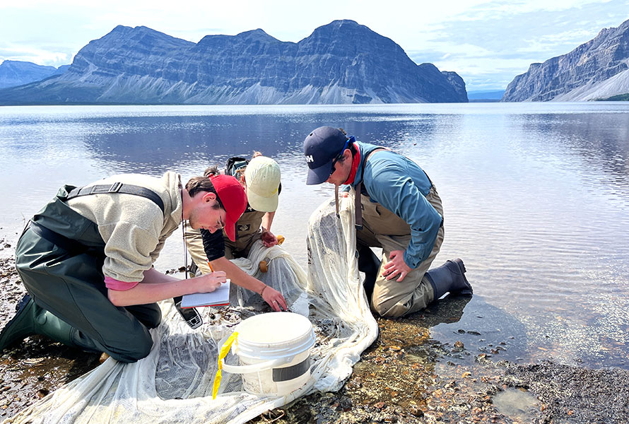 Students conducting field research beside a northern lake